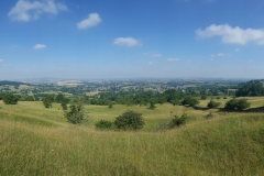 Cotswolds Margie 0460